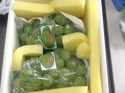 岡山県産　マスカットオブアレキサンドリア（種あり）家庭用　約1ｋg(2房から3房)