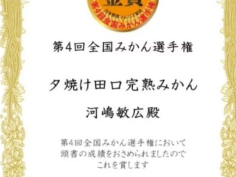 【冬本番】味濃いプロ選別！和歌山有田みかん 完熟田口早生（12月発送）