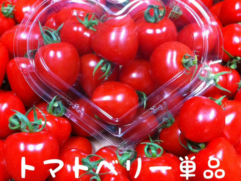 ハート型でかわいいミニトマト　完熟トマトベリー単品 1.5kg【千葉県旭市産】