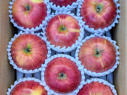 平均糖度17度！！大玉シナノスィート　約3kg