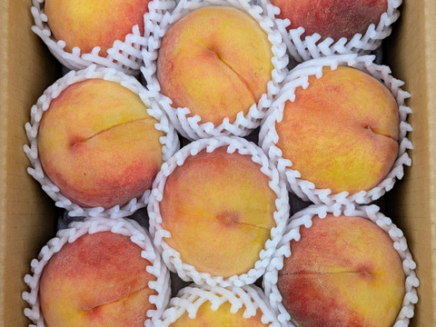 果肉の色が黄色の桃！！黄金桃　約3ｋｇ