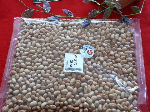 白馬の福豆【バレンタインにも✨】 塩豆500g【おすすめの食べ方付き】