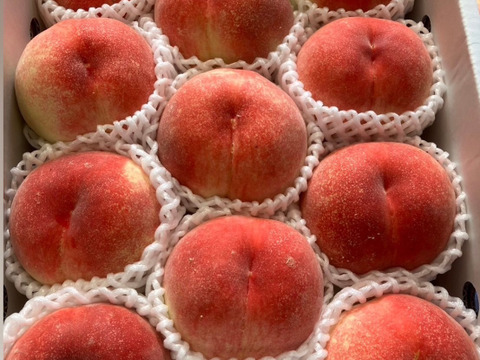 朝採り新鮮！山梨の桃　3kg