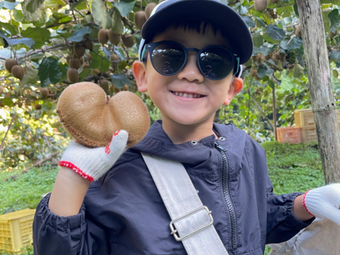 翠珠の宝石！キウイ　秀優品　1.5kg