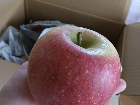 大玉！！葉取らずふじりんご🍎バラ詰め5キロ家庭用です。