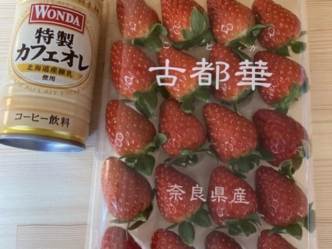 小さめサイズ　古都華　M  260g×2パック　橋本農園　奈良県　いちご