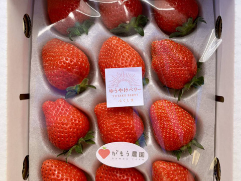 農家直送　採れたてのいちご食べたことある？　平詰め
完熟新鮮いちご　ゆうやけベリー