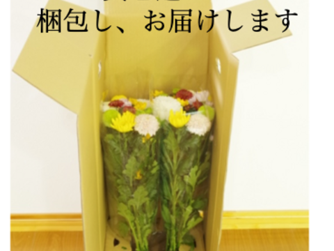【予約】届いてすぐに飾れる お盆のお供え花（花束１対）菊、リンドウ、トルコキキョウ【夏ギフト】