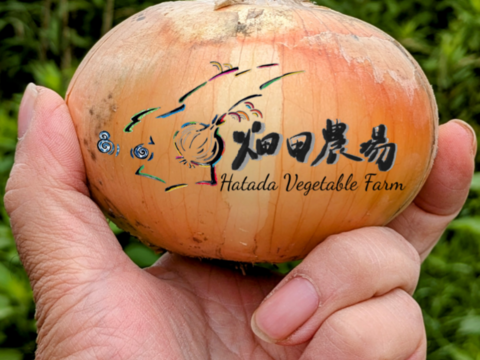 《自然栽培・食品ロス》淡路島産  人に優しい玉ねぎ「十玉十色」２ kg 【2020年最優秀賞受賞／2022年SDG'sエバンジェリスト認定取得】