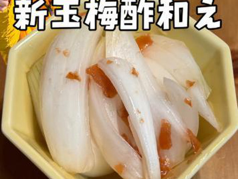 【予約】生産農家直送 淡路島産ブランド新玉ねぎ 『にじたま』超極早生品種 9kgダンボール入り（ご家庭用・30個前後） 使いやすいM・L・2L混在！≪水分量No1!!≫◎特別栽培　2月末頃から順次発送