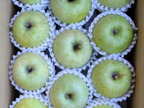 樹上完熟・葉取らず王林　Lサイズ約3kg