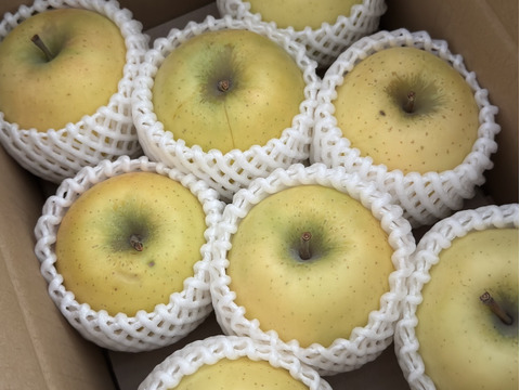 🍏黄金の美味しさ！葉取らず栽培『シナノゴールド』家庭用～青森直送～２Kg　６個から８個入り