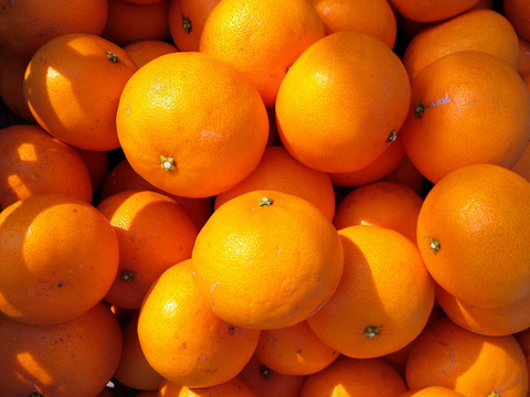 せとか(ご家庭用・3kg)