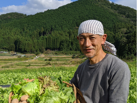 【数量限定】もはやスイーツ☆有機サツマイモ「紅はるか」2㎏入り と 旬のお野菜8~9品のセット