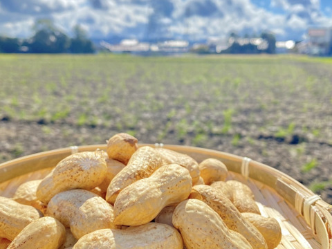 大粒落花生（生） おおまさりネオ（1.0kg）