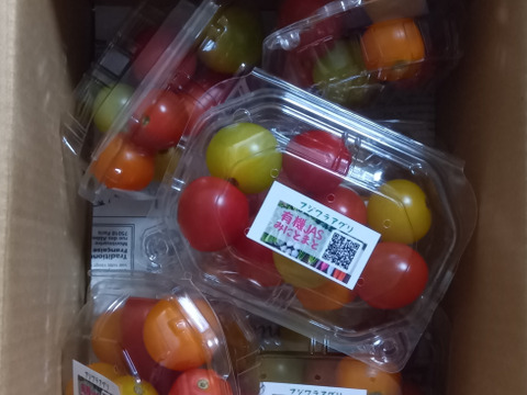 ☆有機JAS認証☆カラフルミニトマト900g