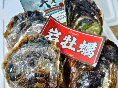 【夏限定】鮮度抜群・からふさ岩牡蠣　(３㎏箱)