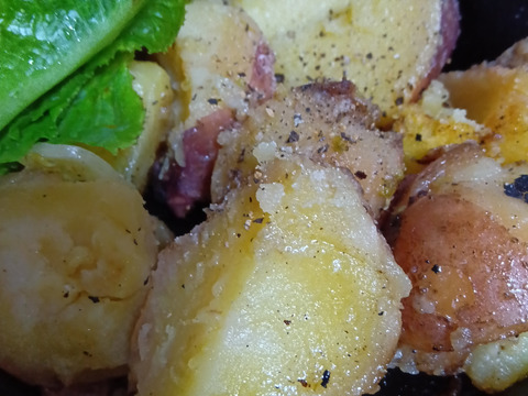 ジャガイモ＆玉ねぎ　農薬化学肥料不使用