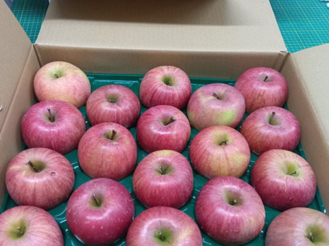 2箱分　すぐ発送！農薬半減栽培葉取らず樹上完熟サンふじ5k16-23×2箱家庭用　蜜入りもあり❣️　りんご