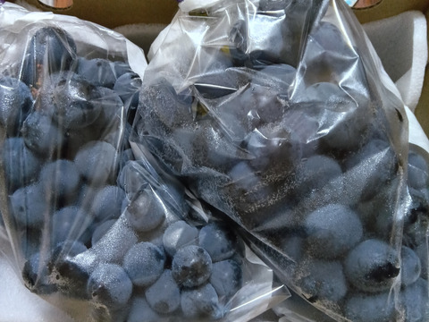 【昔懐かしい昭和の味】マスカットベリーＡ　２房約1キロ★種あり
