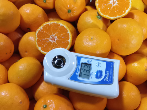 爽やか風味！濃厚な味わいヒメマル【はれひめ】家庭用・3Kg