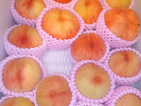 【お試し規格】訳あり C品　約5kg　13～20玉　8月下旬　お得にたくさん食べたい方へ　農家直送