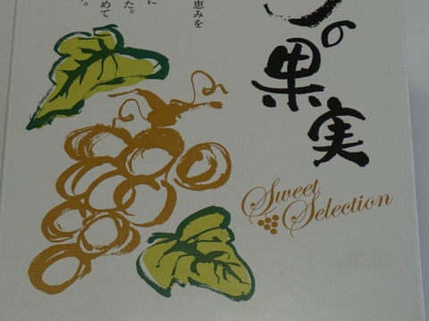 樹上完熟！岡山県備前市産びぜん葡萄【紫苑】　約1kg（2房目安）