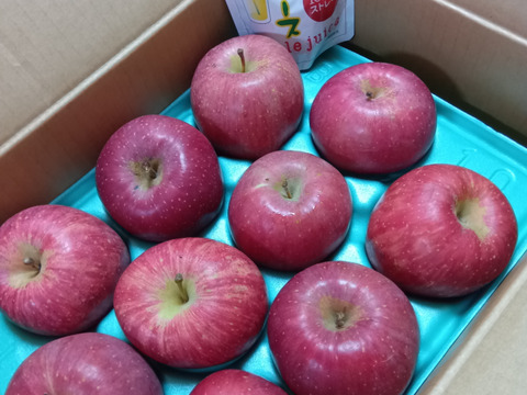 りんご サンふじ 3kg 8個〜12個入り リンゴ  秋田 雪 甘い  りんご   フルーツ お取り寄せ お取り寄せグルメ アップル  おやつ デザート 母の日 甘いりんご