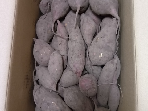訳あり・形良し・土付き🍠シルクスウィート・内容100g〜750g大小混合
⭐︎農薬不使用