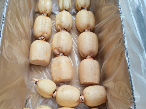 【ゲン担ぎ福袋】未来の見通しがいい
レンコン3.5㎏