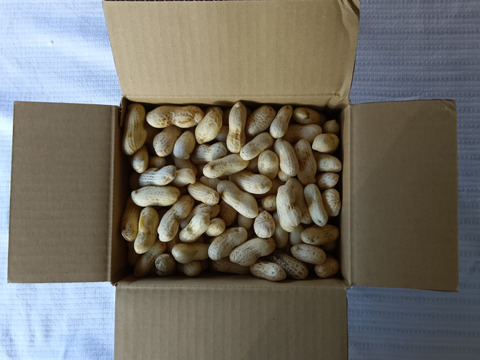 殻付き落花生