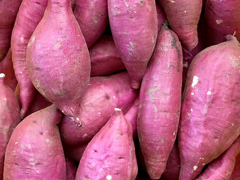 【今期最終】訳ありでもホックリサラリ！新品種「ゆきこまち」色々なサイズ入り  3キロ箱