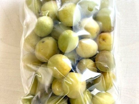 冷凍青梅1kg×1袋】 品種混合 梅酒や梅シロップに！岐阜県郡上市産100