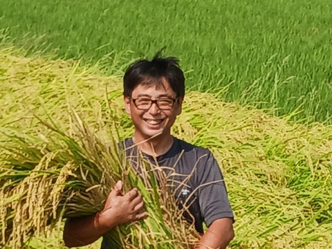 令和7年産新米　農薬5割減　特別栽培米コシヒカリ白米５kg　化学肥料不使用