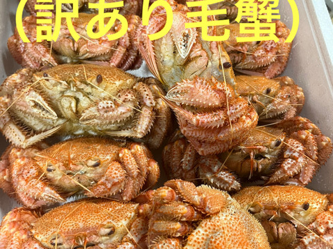 大容量　お買い得　ボイル　毛蟹　三陸産金華山沖　浜茹でボイル冷凍　堅毛蟹　3kg 大容量 お買い得 ボイル 毛蟹 三陸産金華山沖 浜茹でボイル冷凍