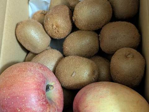 ビタミンたっぷりキウイふる～つ　家庭用３Ｓ2K箱【品種ヘイワード】