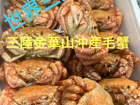 今シーズン初物　小サイズ　三陸産　浜茹で　毛蟹　約250g前後✖️2尾　堅毛蟹　　お試しセット