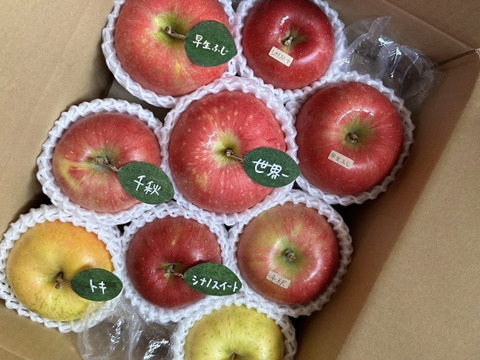 (2026年産予約)🍎【アワード受賞福袋】 【食べ比べ】(家庭用)5品種詰め合わせ🍎3キロ   おまかせ 商品ID171041  りんご 青森 ミックス ギフト