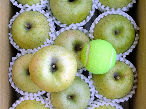 樹上完熟・葉取らず王林　Lサイズ約3kg