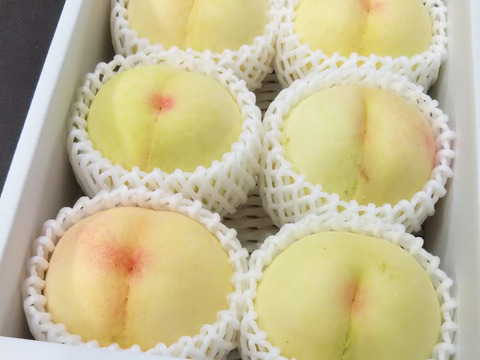 アレジさま専用 清水白桃４キロ箱×２箱 送料無料 モモ あらかわの桃 清水白桃 4kg箱 訳あり 桃星農園