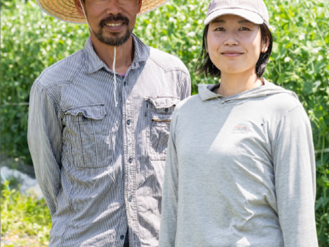 【有機JAS認証　海老芋の頭芋（かしらいも）】3〜7個で4キロ程度のサイズでお届け中！知る人ぞ知る美味しさ、便利さ！ほっくり味の頭芋！コロッケに、煮物に、鍋に万能な使い勝手！