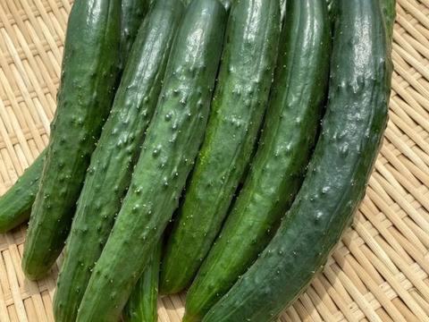 【お漬物セット】皮の柔らかい水茄子と胡瓜のセット商品‼️60サイズの箱でお届け‼️