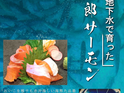 旨味と甘みの絶品桃太郎サーモン　フィレ　800ｇ～1200ｇ