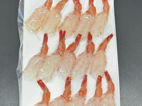 📺テレビやラジオに引っ張りだこ📺甘エビの大トロ『幻の生タカエビ』業界初パウダースノー冷凍で最高鮮度🐟20代女性漁師が手掛ける甑島ブランド【2026年10月上旬発送】