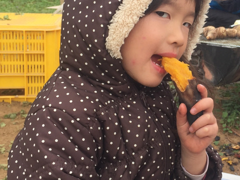 ねっとりあまーい安納芋♦︎5kg(ファミリーサイズ)♦︎長崎県五島産