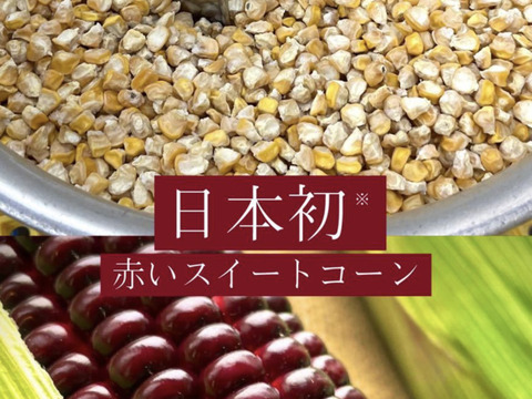 宝石のように赤く光輝くスイートコーン！大和ルージュ！2kg