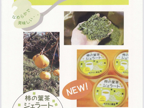 【数量限定】自然栽培次郎柿の葉茶ジェラート　6個