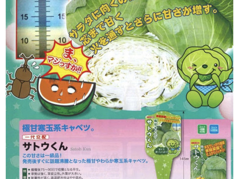 有機JAS認定肥料でじっくり育てた、鉄腕DASHゼロ円食堂にでた、キャベツサトウくん1.5kx3