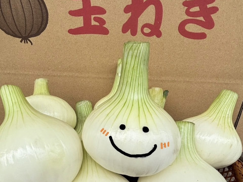 採れたて‼️淡路島産「新玉ねぎ🧅」約5kg