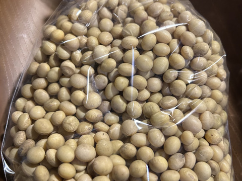 【農薬・化学肥料不使用】MOA自然農法で育った大豆1kg